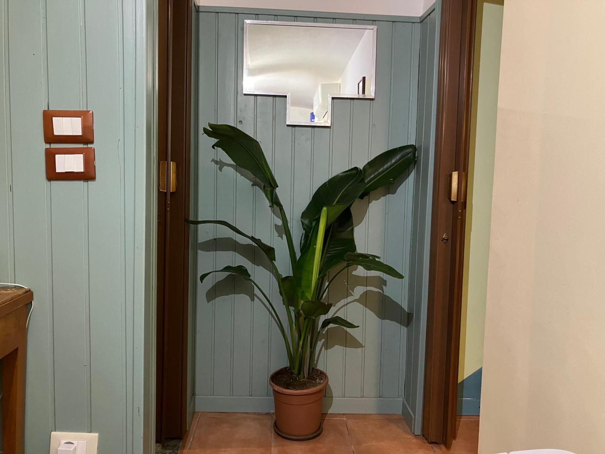 Pied At Terre Διαμέρισμα Τεργέστη Εξωτερικό φωτογραφία